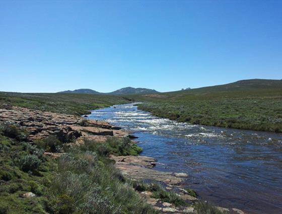 Sani Stone Lodge